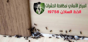 اكبر شركة مكافحة حشرات بالقاهرة
